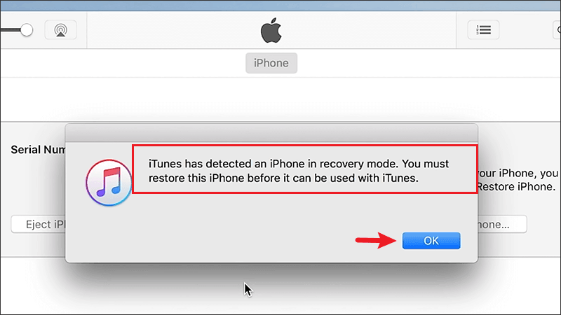 Restore iPhone 16 in DFU Mode